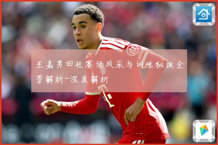 王嘉男田径赛场风采与训练秘诀全景解析-深度解析