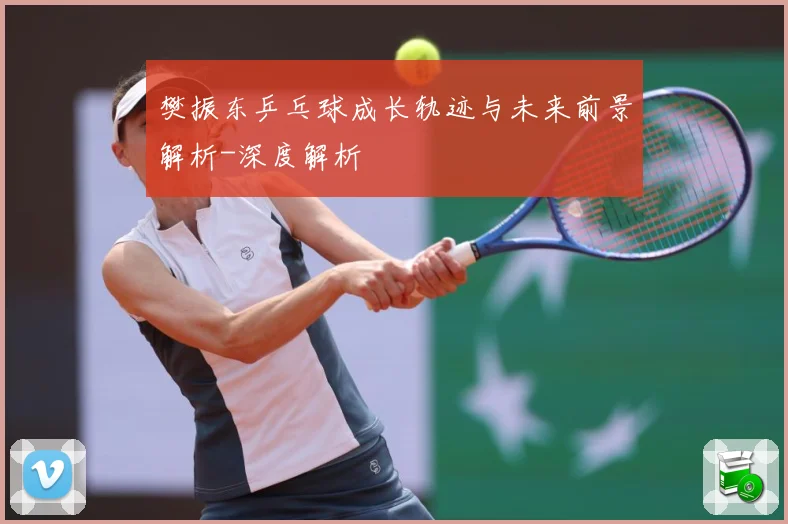 樊振东乒乓球成长轨迹与未来前景解析-深度解析