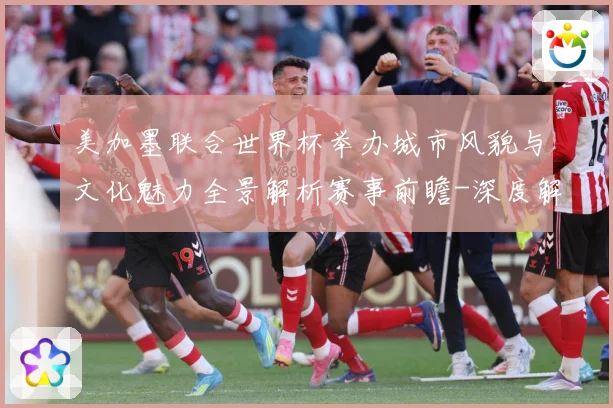 美加墨联合世界杯举办城市风貌与文化魅力全景解析赛事前瞻-深度解析