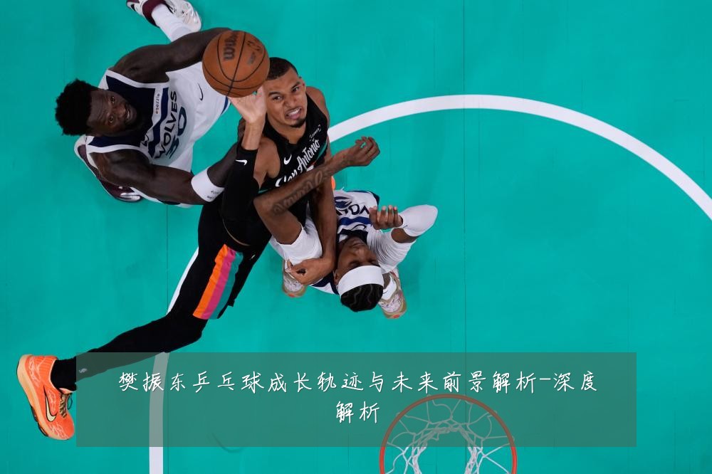 樊振东乒乓球成长轨迹与未来前景解析-深度解析