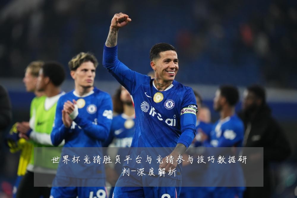世界杯竞猜胜负平台与竞猜参与技巧数据研判-深度解析